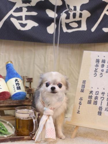 20240629ルナちゃん